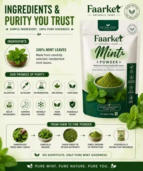 mint powder ingredients